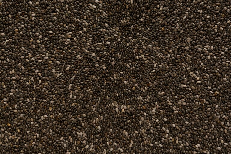 15 Health Benefits of Chia Seeds : Mohit Tandon Human Rights