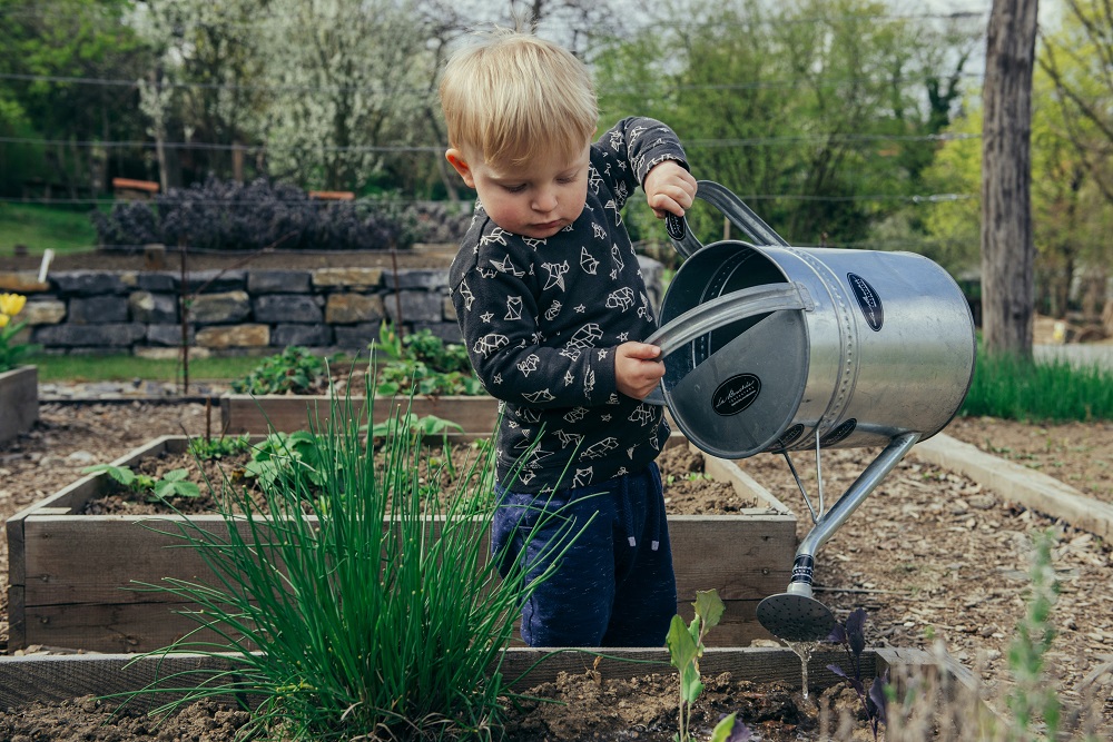 Gardening