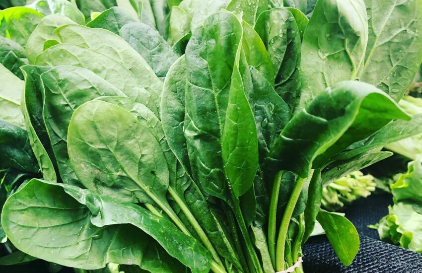 Spinach