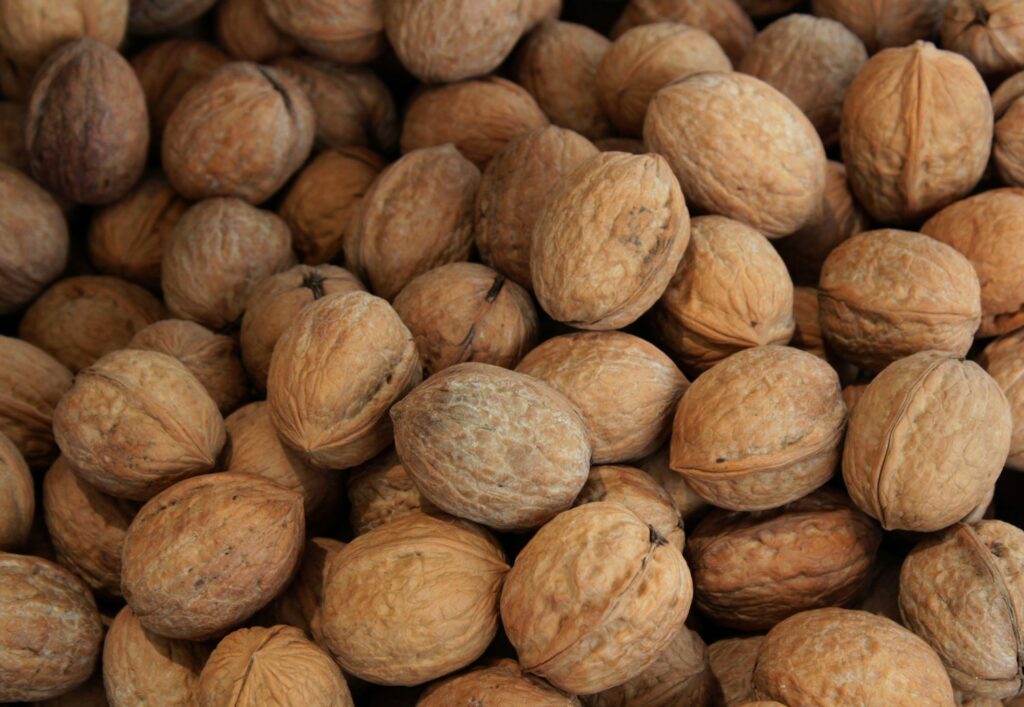 Health Benefits of Walnuts